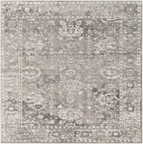 Monte Carlo MNC-2311 6'7" x 6'7" Machine Woven Rug MNC2311-67SQ Livabliss Surya