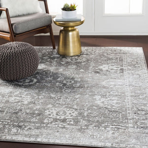 Livabliss Monte Carlo Traditional Polypropylene Runner Rug for Hallways and Entryways Light Gray, Cha 6'11" x 9' MNC2311-679