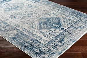 Livabliss Monte Carlo Medallion Area Rug Turkish Woven Polypropylene for Living Dining Bedroom Blue, Light Gra 2'7" x 10' MNC2313-2710
