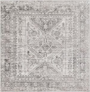 Livabliss Monte Carlo Traditional Polypropylene Area Rug for Living Dining and Primary Bedroom Spaces Light Gray, Whi 6'7" x 6'7" MNC2314-67SQ