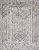 Monte Carlo MNC-2314 7'10" x 10'2" Machine Woven Rug MNC2314-710103 Livabliss Surya