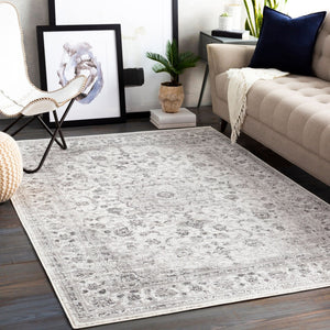 Livabliss Monte Carlo Traditional Polypropylene Area Rug Machine Woven for Living and Dining Rooms Light Gray, Cha 7'10" x 10'2" MNC2319-710103