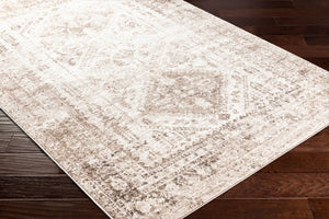 Livabliss Monte Carlo Traditional Medallion Polypropylene Area Rug for Living or Dining Rooms Cream, Light Br 5'3" x 5'3" MNC2342-53RD