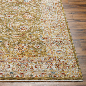 Livabliss Mona Lisa Traditional Turkish Polyester Area Rug with Fringe for Large Living Rooms Olive, Light Sa 2' x 2'11" MNI2306-23