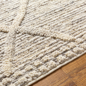 Surya Manisa Handwoven 2' X 3' New Zealand Wool Area Rug - Unique High/Low Texture, Durable & Stylish Decor Charcoal Nz Wool Mns2302-23