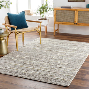 Surya Manisa Handwoven 2' X 3' New Zealand Wool Area Rug - Unique High/Low Texture, Durable & Stylish Decor Medium Gray Nz Wool Mns2303-23