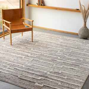 Surya Manisa Handwoven 2' X 3' New Zealand Wool Area Rug - Unique High/Low Texture, Durable & Stylish Decor Medium Gray Nz Wool Mns2303-23