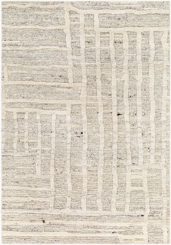 Surya Manisa Handwoven 2' X 3' New Zealand Wool Area Rug - Unique High/Low Texture, Durable & Stylish Decor Gray Nz Wool Mns2304-23