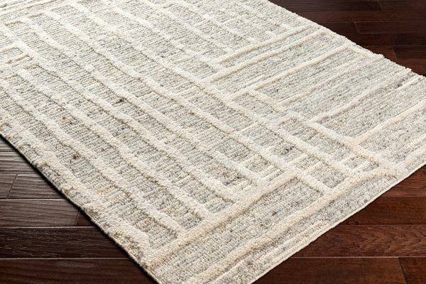 Surya Manisa Handwoven 2' X 3' New Zealand Wool Area Rug - Unique High/Low Texture, Durable & Stylish Decor Gray Nz Wool Mns2304-23