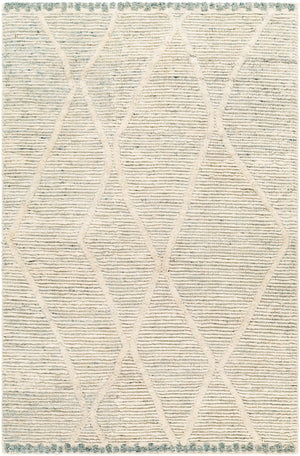 Manisa MNS-2308 9' x 12' Handmade Rug MNS2308-912  Seafoam, Cream, Blue Surya
