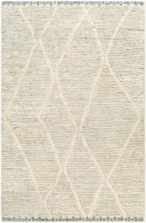 Manisa MNS-2308 9' x 12' Handmade Rug MNS2308-912  Seafoam, Cream, Blue Surya