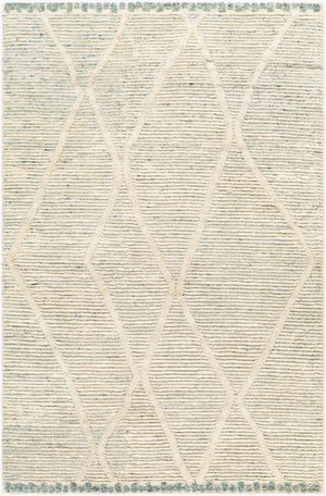 Surya Manisa Handwoven 2' X 3' New Zealand Wool Area Rug - Unique High/Low Texture, Durable & Stylish Decor Seafoam Nz Wool Mns2308-23