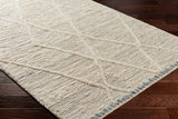 Manisa MNS-2308 9' x 12' Handmade Rug MNS2308-912  Seafoam, Cream, Blue Surya