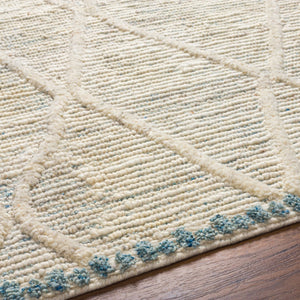 Surya Manisa Handwoven 2' X 3' New Zealand Wool Area Rug - Unique High/Low Texture, Durable & Stylish Decor Seafoam Nz Wool Mns2308-23