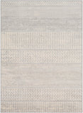 Monaco MOC-2306 5'3" x 7'3" Machine Woven Rug MOC2306-5373 Livabliss Surya