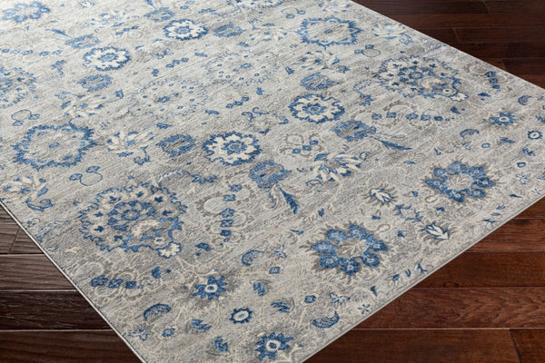 Livabliss Monaco Traditional Polypropylene Area Rug Machine Woven for Living or Dining Rooms MOC2308-810123
