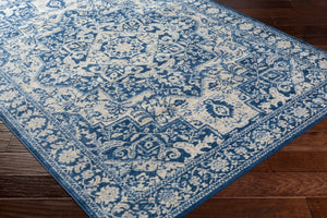 Livabliss Monaco Medallion Area Rug Machine Woven Polypropylene for Living Room or Hallway MOC2316-43511
