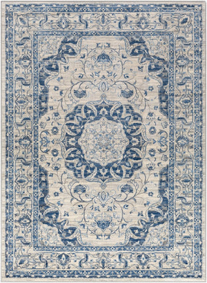 Livabliss Monaco Traditional Polypropylene Area Rug Medium Pile for Hallways and Entryways MOC2318-23