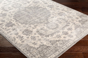 Livabliss Monaco Traditional Oriental Polypropylene Area Rug for Living Room or Dining Space MOC2323-810123