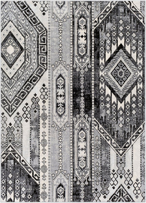 Livabliss Monaco Global Eclectic Polypropylene Area Rug Machine Woven for Living and Dining Rooms MOC2325-810123