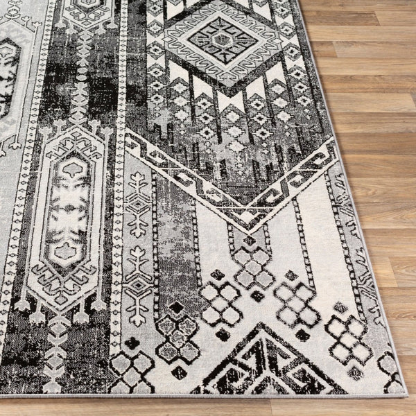 Livabliss Monaco Global Eclectic Polypropylene Area Rug Machine Woven for Living and Dining Rooms MOC2325-810123
