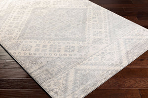 Livabliss Monaco Machine Woven Polypropylene Rug Bohemian Global Geometric Pattern for Entryways Gray, Silver Gr 4'3" x 5'11" MOC2326-43511