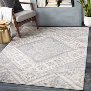 Livabliss Monaco Machine Woven Polypropylene Rug Bohemian Global Geometric Pattern for Entryways Gray, Silver Gr 4'3" x 5'11" MOC2326-43511