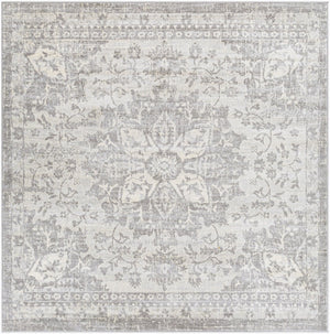 Livabliss Monaco Moc-2328 Traditional Medallion Polypropylene Accent Rug for Entryways Silver Gray, Gr 6'7" x 6'7" Square MOC2328-67SQ