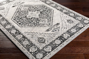 Livabliss Monaco Traditional Polypropylene Area Rug Machine Woven for Living and Dining Rooms MOC2329-810123