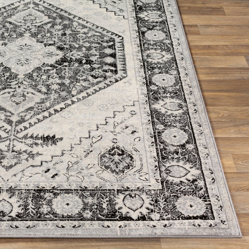 Livabliss Monaco Traditional Polypropylene Area Rug Machine Woven for Living and Dining Rooms MOC2329-810123