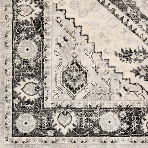Livabliss Monaco Traditional Polypropylene Area Rug Machine Woven for Living and Dining Rooms MOC2329-810123