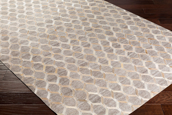 Surya Medora 2' X 3' Handmade Chenille-viscose Area Rug – Luxurious, Easy-clean Design For Your Home Beige Hair On Hide,Chenille,Viscose Mod1009-23
