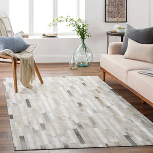 Surya Medora 2' X 3' Handmade Chenille-viscose Area Rug – Luxurious, Easy-clean Design For Your Home Gray Hair On Hide,Chenille,Viscose Mod1016-23
