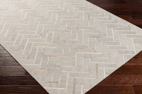 Surya Medora 2' X 3' Handmade Chenille-viscose Area Rug – Luxurious, Easy-clean Design For Your Home Taupe Viscose,Leather Mod1026-23