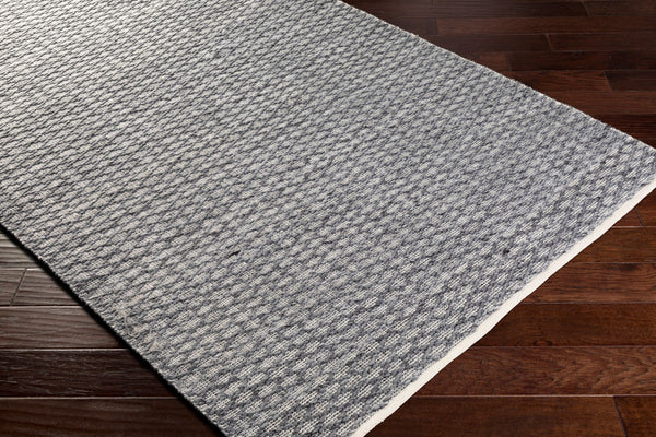 Surya Modena 2' X 3' Handmade Area Rug – Modern, Textured, Easy-clean Design For Sophisticated Spaces Light Gray Polyester Moe1000-23