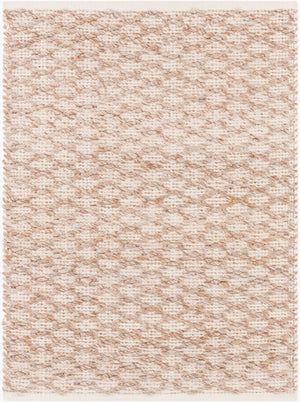 Surya Modena Handwoven Polyester Area Rug with High Low Pile Texture for Entryway Accent MOE1001-23