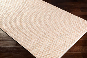 Surya Modena Handwoven Polyester Area Rug with High Low Pile Texture for Entryway Accent MOE1001-23