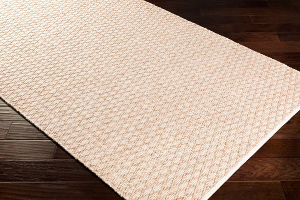 Surya Modena Handwoven Polyester Area Rug with High Low Pile Texture for Entryway Accent MOE1001-23