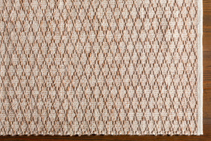 Surya Modena Handwoven Polyester Area Rug with High Low Pile Texture for Entryway Accent MOE1001-23
