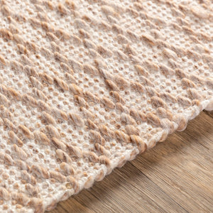 Surya Modena Handwoven Polyester Area Rug with High Low Pile Texture for Entryway Accent MOE1001-23