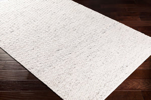 Surya Modena 2' X 3' Handmade Area Rug – Modern, Textured, Easy-clean Design For Sophisticated Spaces Ivory Polyester Moe1002-23