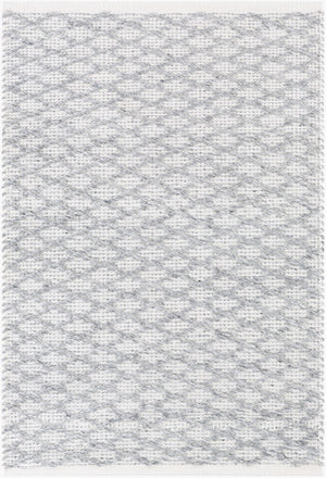 Surya Modena 2' X 3' Handmade Area Rug – Modern, Textured, Easy-clean Design For Sophisticated Spaces Gray Polyester Moe1003-23