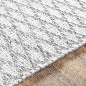 Surya Modena 2' X 3' Handmade Area Rug – Modern, Textured, Easy-clean Design For Sophisticated Spaces Gray Polyester Moe1003-23