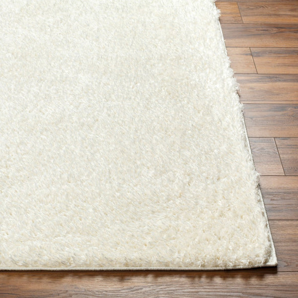 Livabliss Moda Plush Shag Area Rug Soft Polyester Pile for Living Room or Bedroom Decor MOG2302-9212