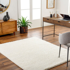 Livabliss Moda Plush Shag Area Rug Soft Polyester Pile for Living Room or Bedroom Decor MOG2302-9212