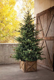 Park Hill Blue Spruce Christmas Tree, 9' XPQ82165 Park Hill