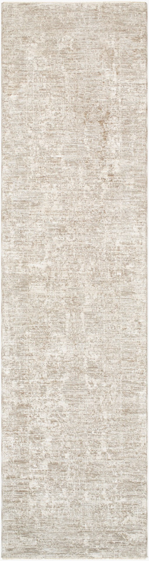 Livabliss Masterpiece Mpc-2301 Turkish Woven Traditional Area Rug with Fringe for Living Rooms Cream, Light Gr 2'7" x 7'3" MPC2301-2773
