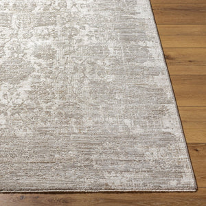 Livabliss Masterpiece Mpc-2301 Turkish Woven Traditional Area Rug with Fringe for Living Rooms Cream, Light Gr 2'7" x 3'11" MPC2301-27311