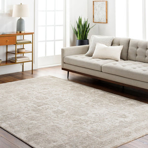 Livabliss Masterpiece Mpc-2301 Turkish Woven Traditional Area Rug with Fringe for Living Rooms Cream, Light Gr 2'7" x 3'11" MPC2301-27311
