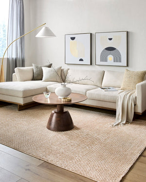 Livabliss Masterpiece Global Bohemian Fringe Area Rug Turkish Woven Polyester Living Room Accent Beige, Tan 2'7" x 3'11" MPC2302-27311